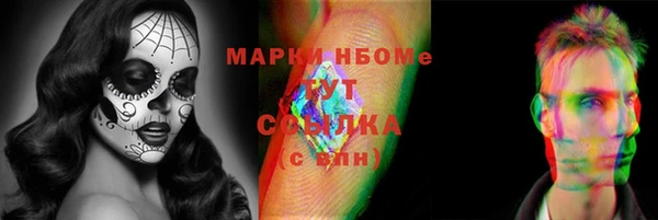 крисы Алзамай