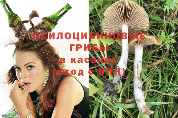 крисы Алзамай