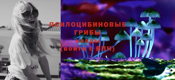 стаф Абаза