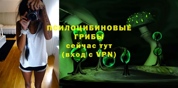 крисы Алзамай