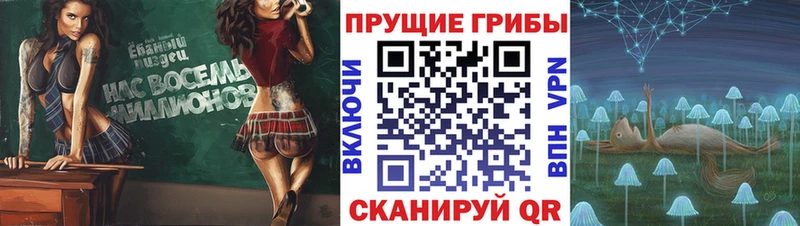 Галлюциногенные грибы Psilocybine cubensis Новоалександровск